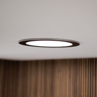 binnenzijde met plafondplaat zwart rond